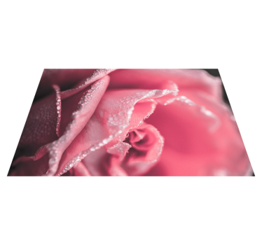 Alfombra vinílica flores pétalos de rosa cubiertos de rocío - TenVinilo