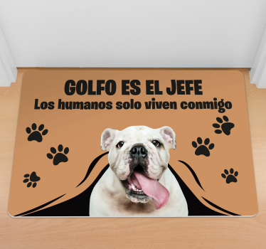 Alfombra vinilo recibidor foto mascota - TenVinilo