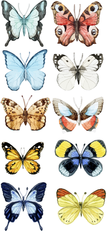 Alfombra vinílica animales diez mariposas coloridas - TenVinilo