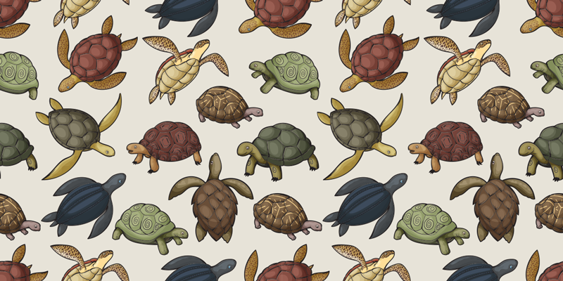 Alfombra vinílica animales variedad de tortugas - TenVinilo
