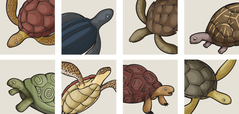 Alfombra vinílica animales tortugas variadas - TenVinilo