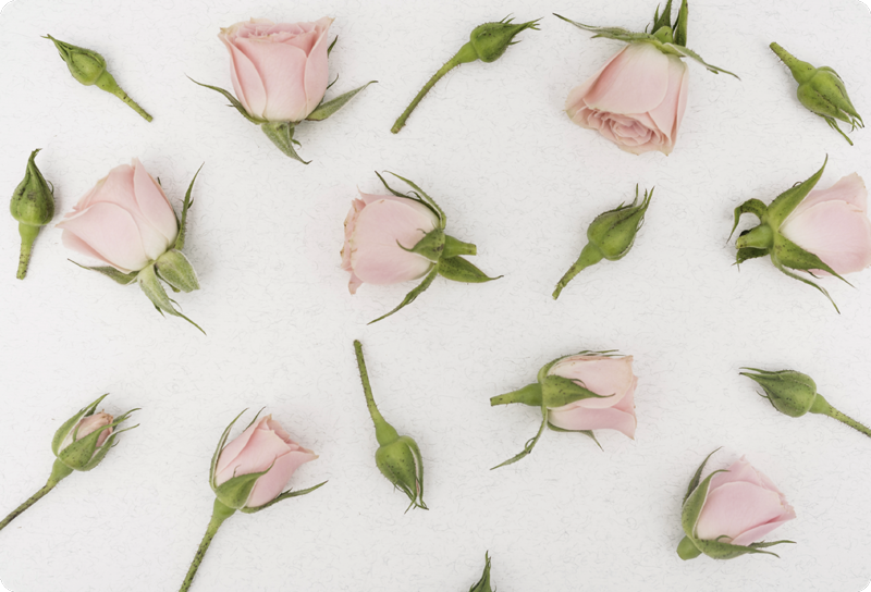Alfombra vinílica flores flores de primavera románticas - TenVinilo
