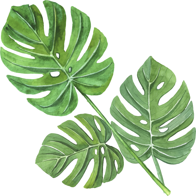 Alfombra vinílica flores hojas de monstera acuareladas - TenVinilo