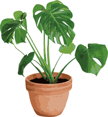 Alfombra vinílica flores maceta monstera sencilla - TenVinilo