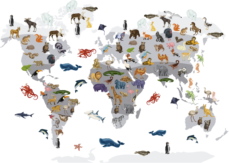 Alfombra vinílica mapamundi adhesivo de pared estilo nórdico - TenVinilo