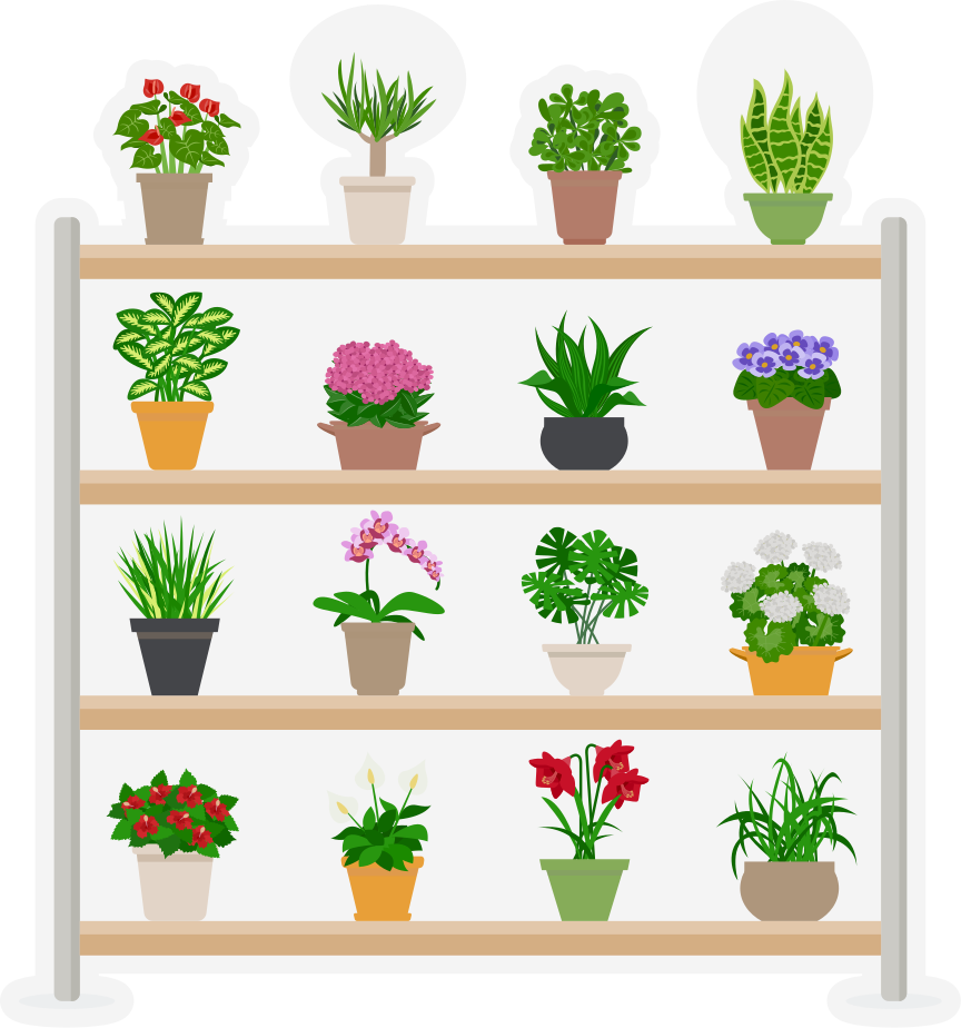 Alfombra de vinilo para cocina plantas en estantes - TenVinilo