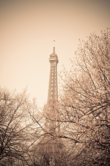 Alfombra vinílica dormitorio vinilo foto torre eiffel - TenVinilo