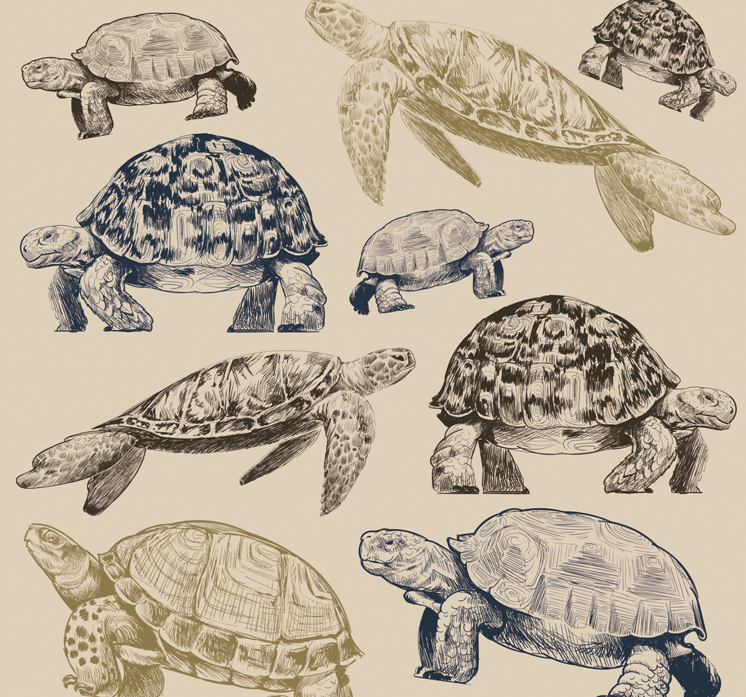 Alfombra vinílica animales tortugas fondo beige - TenVinilo