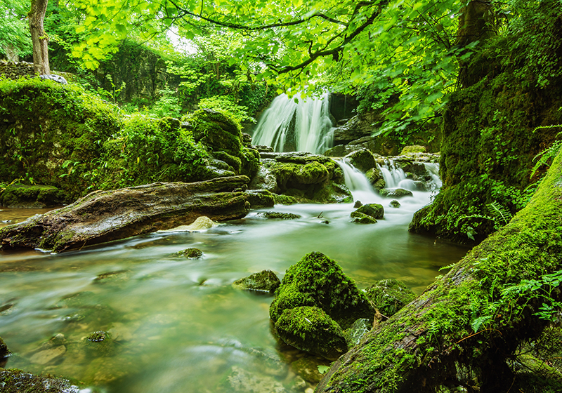 Alfombra vinílica verde cascada serene - TenVinilo