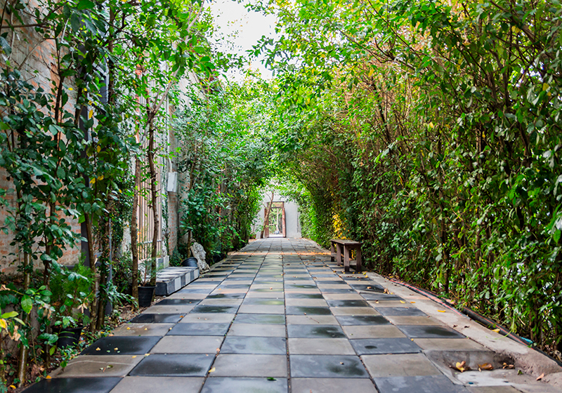 Alfombra vinílica verde camino de jardín sereno - TenVinilo
