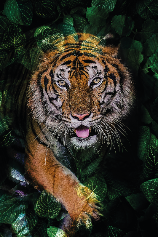 Alfombra vinílica animales retrato de tigre - TenVinilo