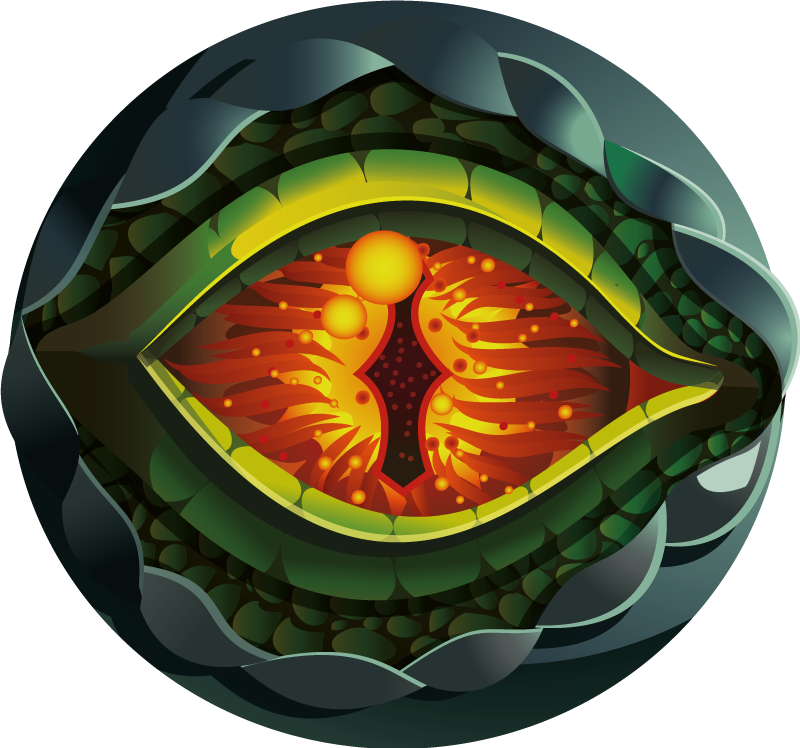 Aflombra vinílica animales Ojo de dinosaurio diseño natural - TenVinilo