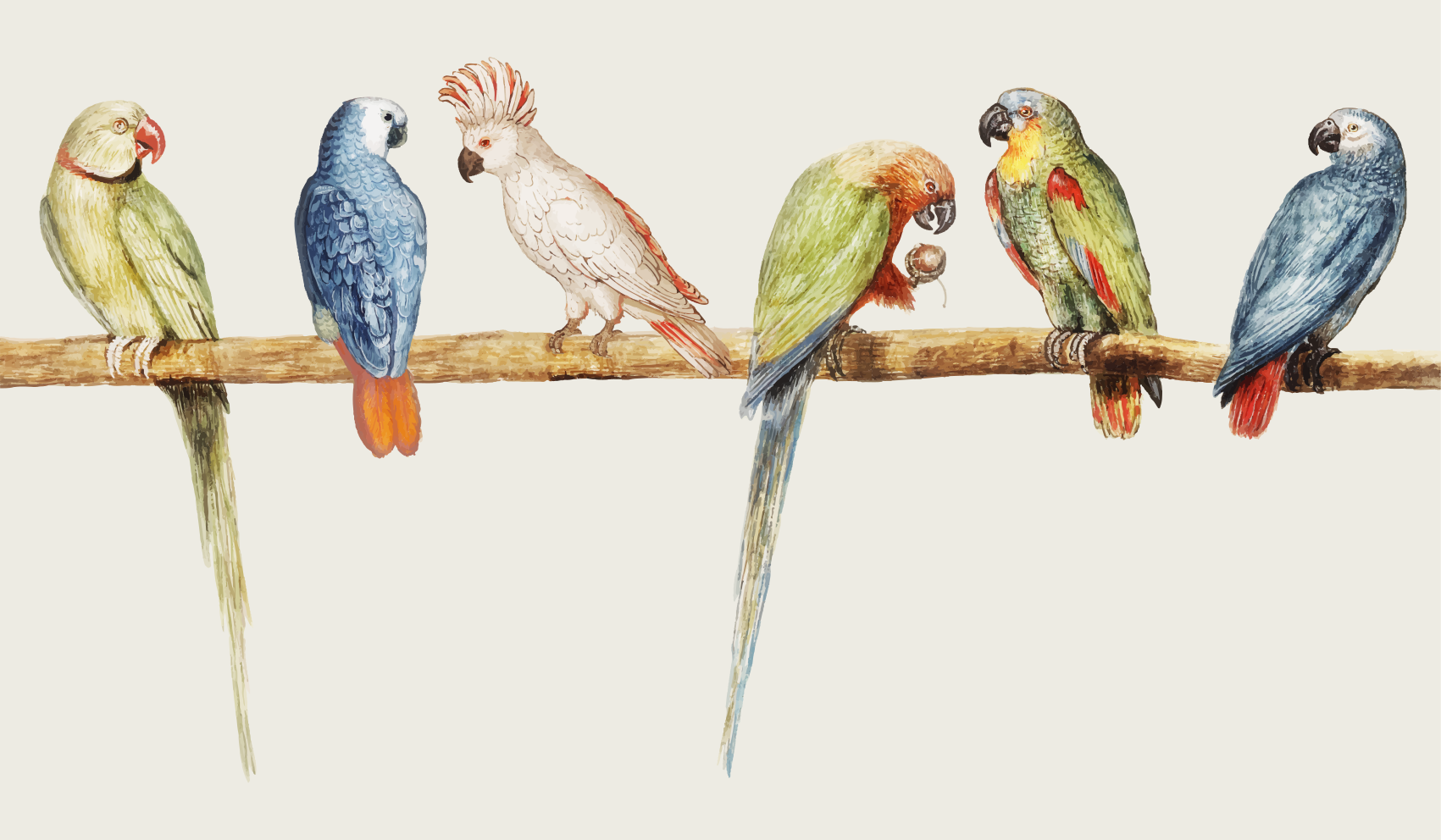 Aflombra vinílica Gris moderno pájaros y ramas - TenVinilo