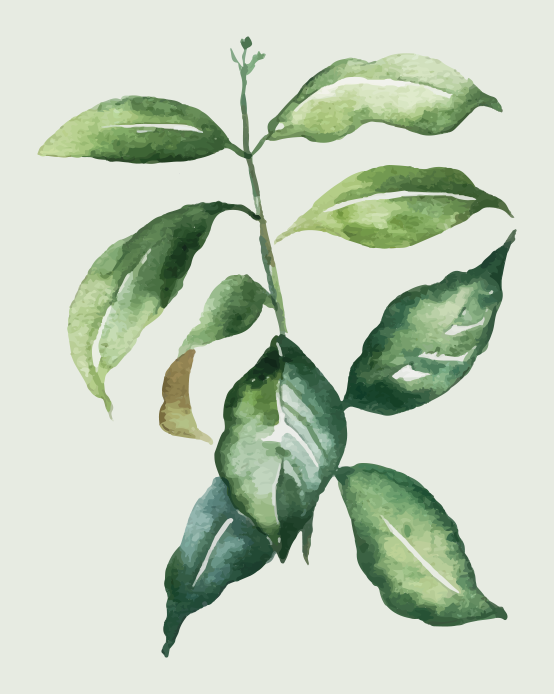 Alfombra vinílica flores ilustración de hoja botánica - TenVinilo