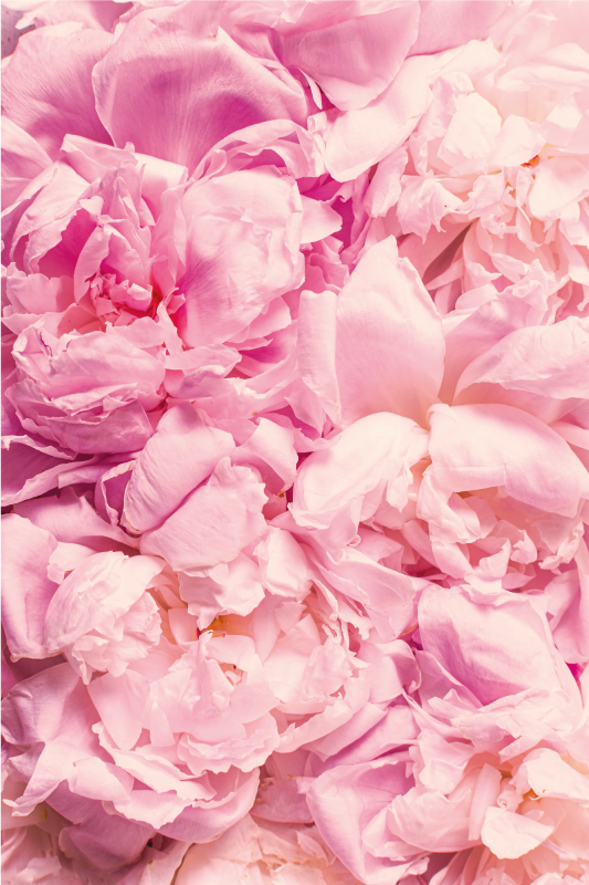 Alfombra vinílica salón detalles en rosa suave - TenVinilo