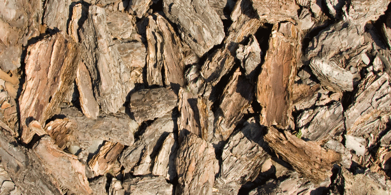 Alfombra vinílica imitación madera diseño de corteza natural - TenVinilo