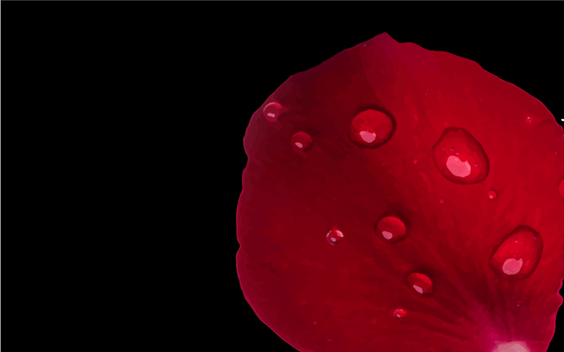 Alfombra vinílica salón glamour de pétalos rojos - TenVinilo