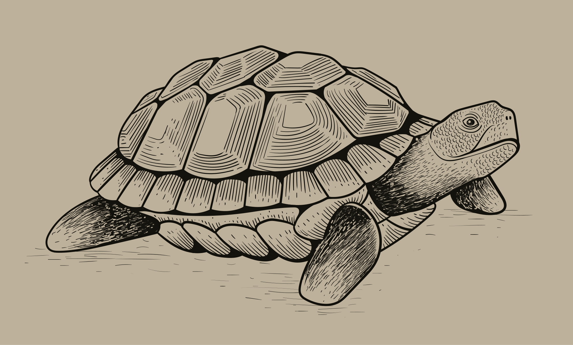 Alfombra vinílica animales ilustración de tortuga - TenVinilo