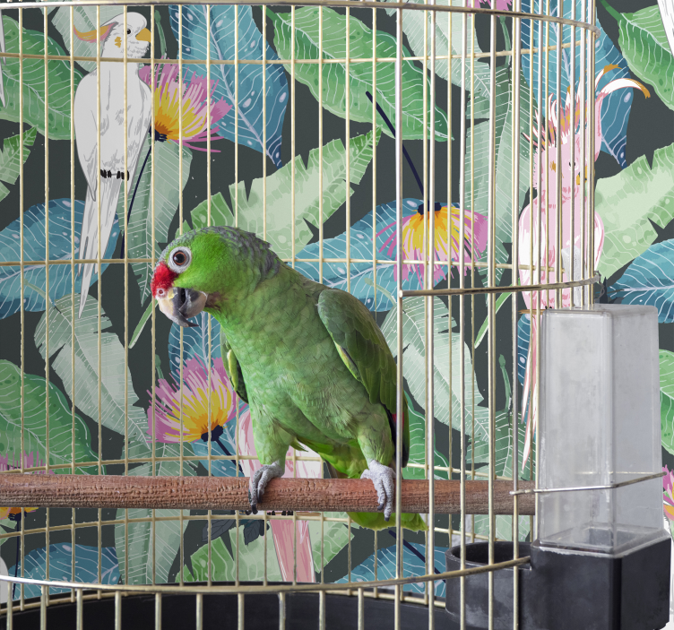 Papel pintado de pájaros tropicales y hojas - TenVinilo