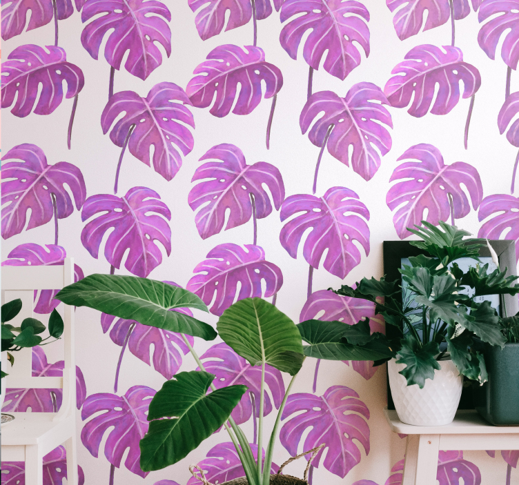 Papel mural hojas monstera deliciosa - TenVinilo